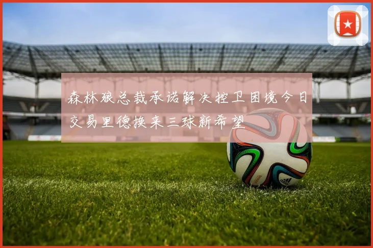 森林狼总裁承诺解决控卫困境今日交易里德换来三球新希望