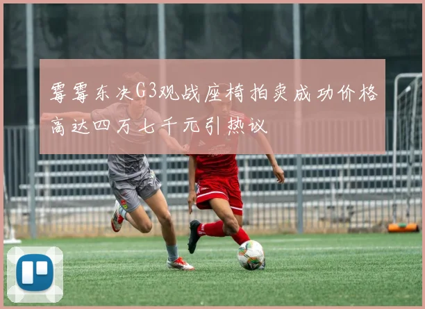 霉霉东决G3观战座椅拍卖成功价格高达四万七千元引热议